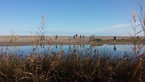 Di corsa nella riserva Naturale Laghetti di Marinello