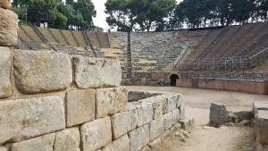 Ingresso gratuito all'area archeologica  con accompagnatore a cura dell'associazione "Tindari Cultura"